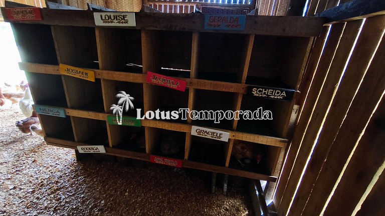 Chácara com 11 dorms. para fim de semana e eventos LT0087