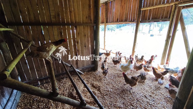 Chácara com 11 dorms. para fim de semana e eventos LT0087