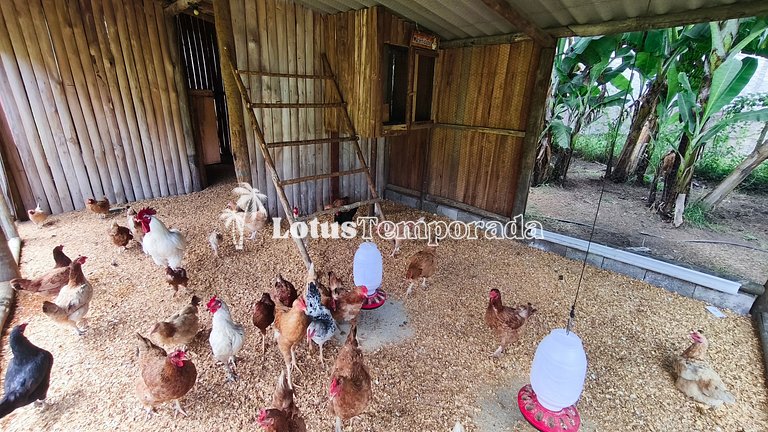 Chácara com 11 dorms. para fim de semana e eventos LT0087