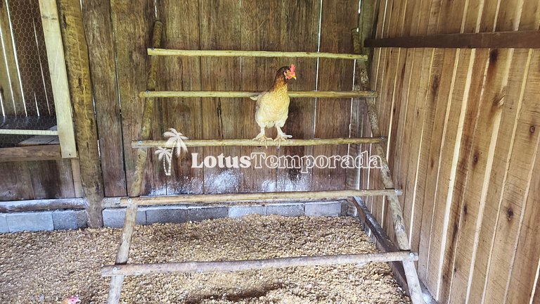 Chácara com 11 dorms. para fim de semana e eventos LT0087