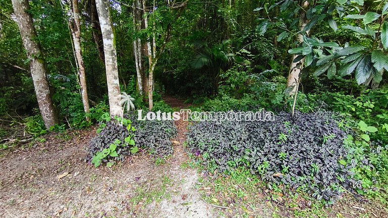 Chácara com 11 dorms. para fim de semana e eventos LT0087