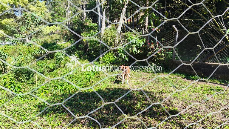 Sítio em Juquitiba para Famílias e Eventos LT0105