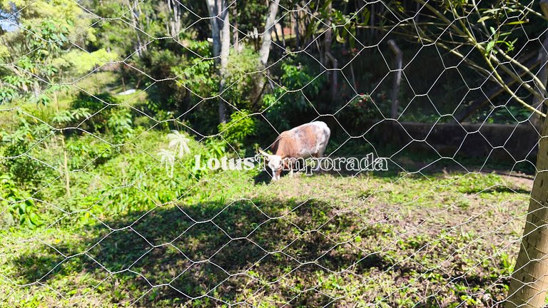 Sítio em Juquitiba para Famílias e Eventos LT0105
